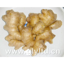 High Quality Air Dry Ginger 200g and up